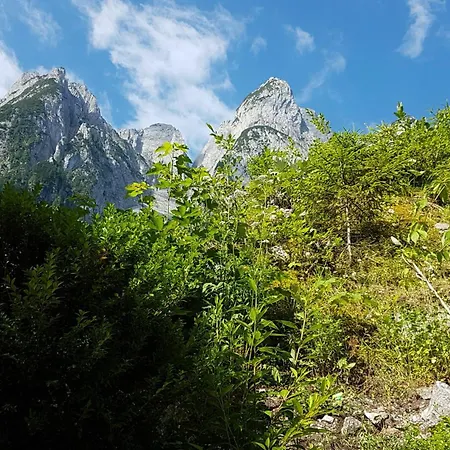 Gasthof Gosausee-2
